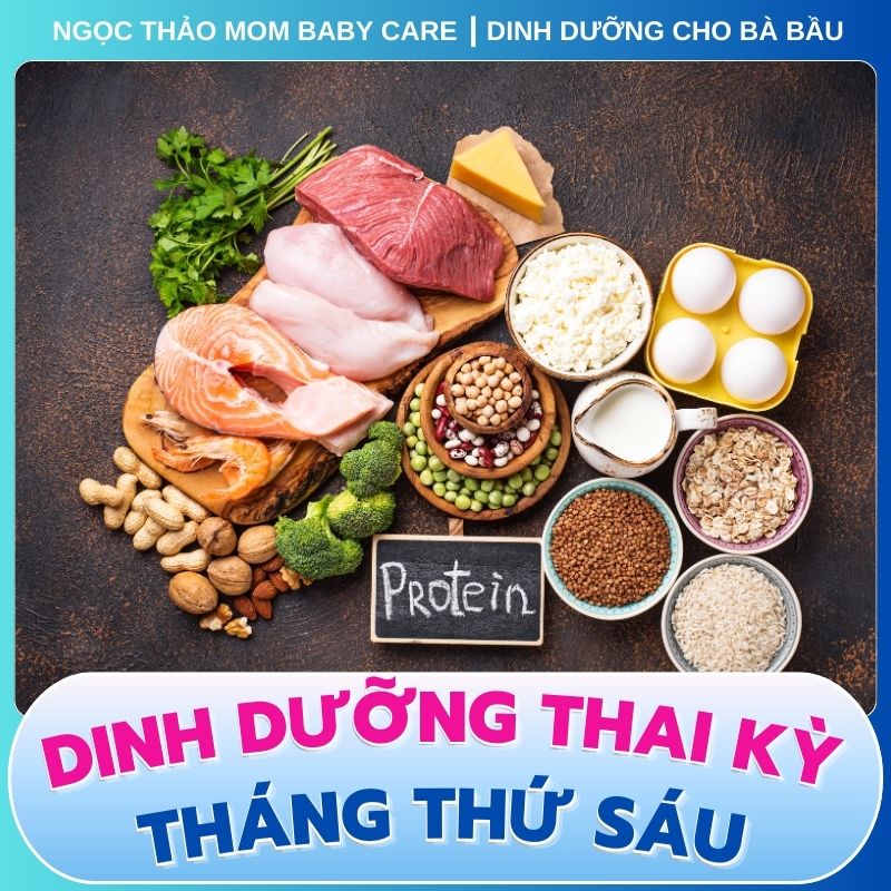 Chất đạm cần thiết cho mẹ bầu mang thai tháng thứ sáu